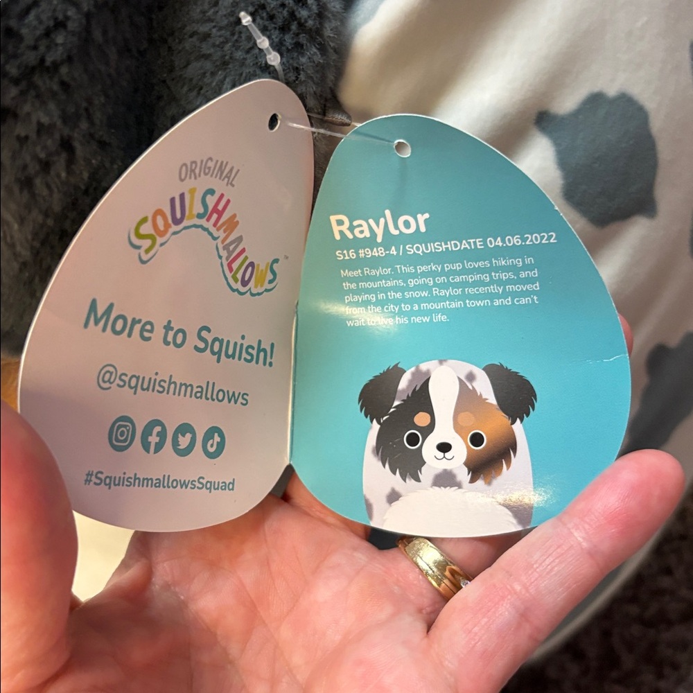 Squishmallows- Raylor - Picture 6 of 6